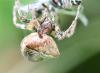 301417 – Photo : Jean-Michel GAREL – France (89)